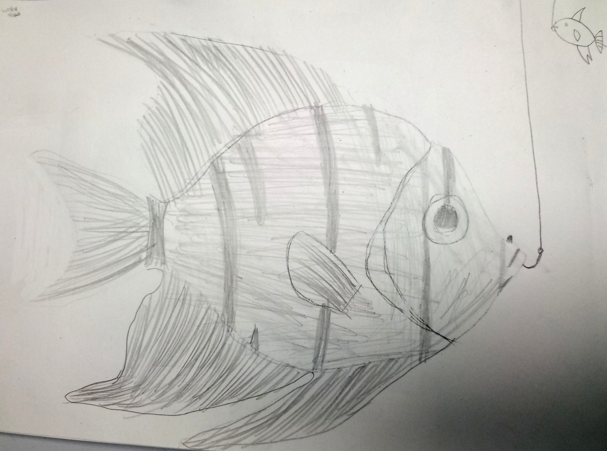 angelfish