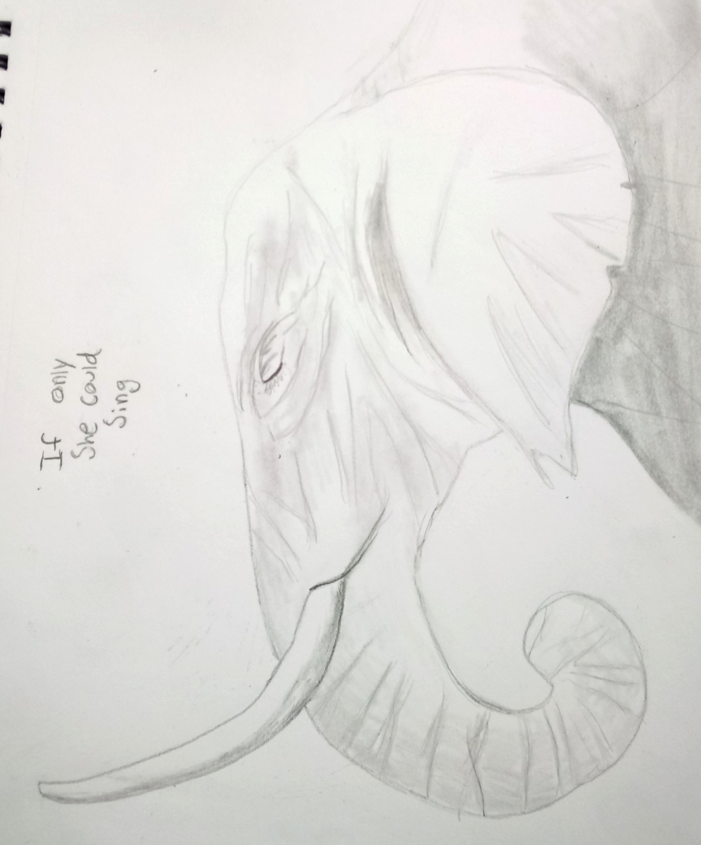 elephant