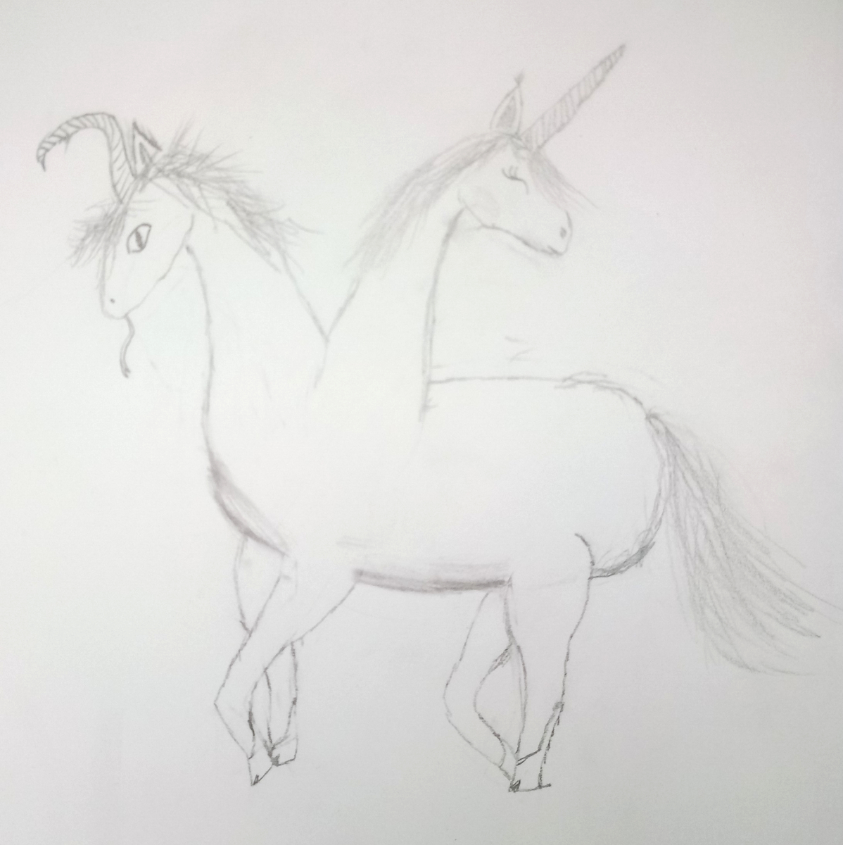 unicorn