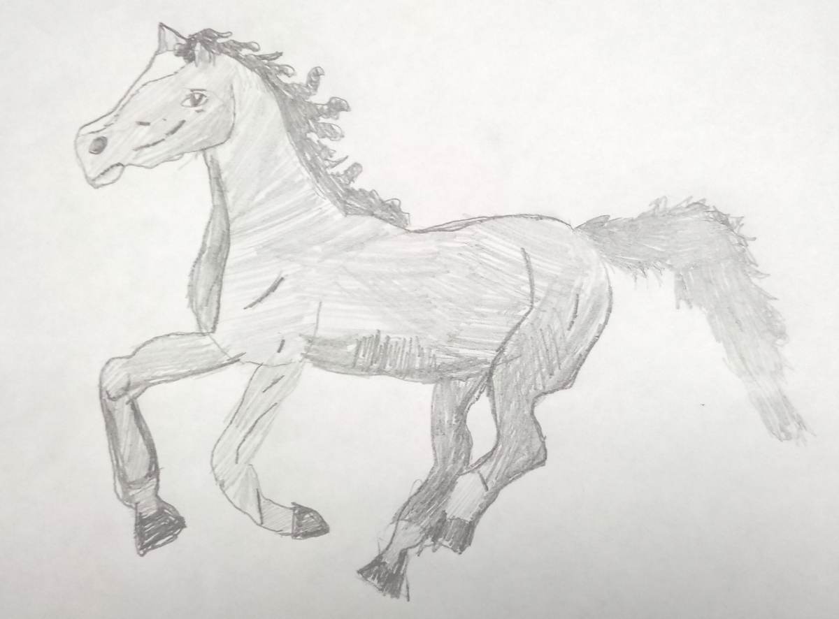 horse