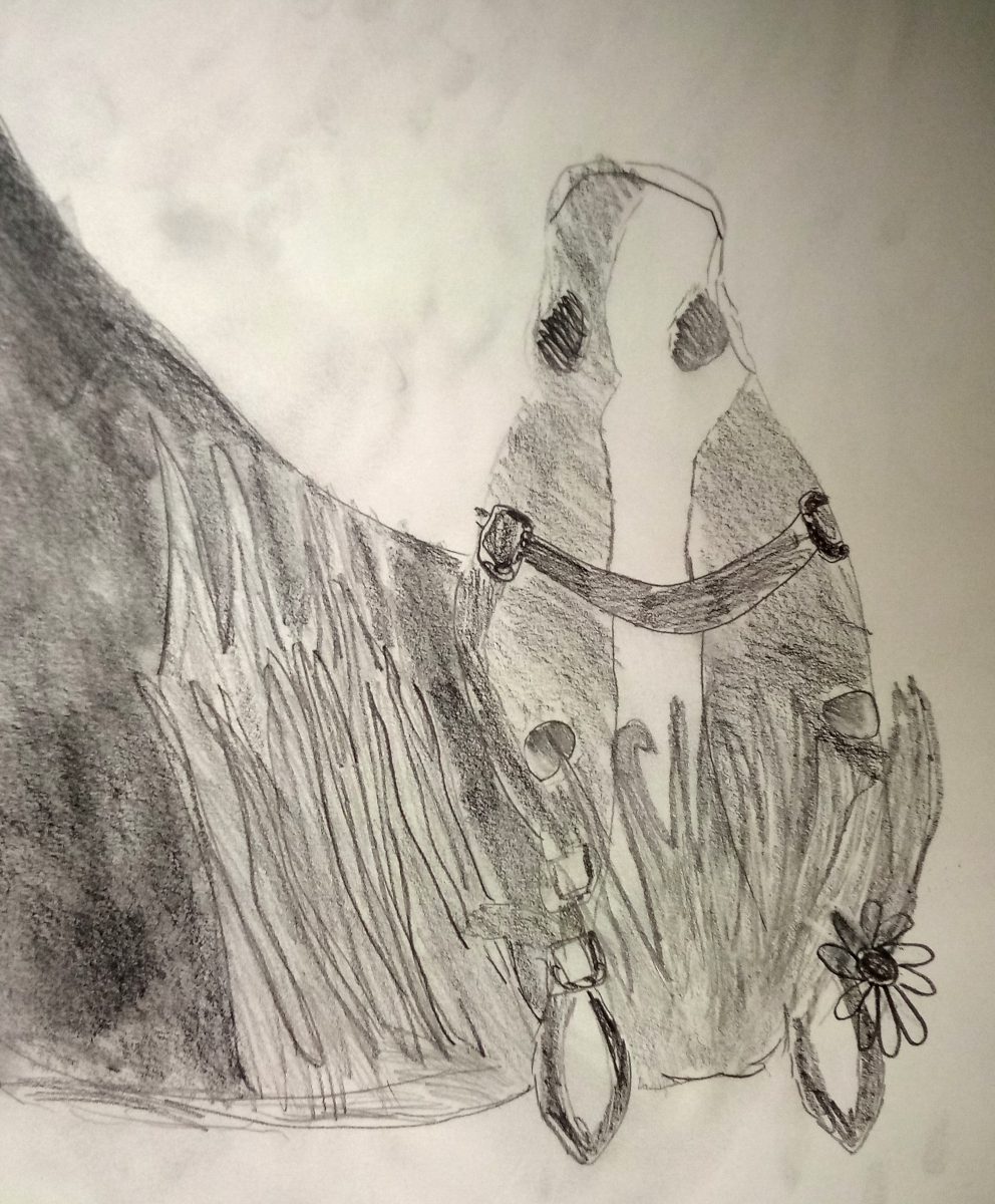 horse