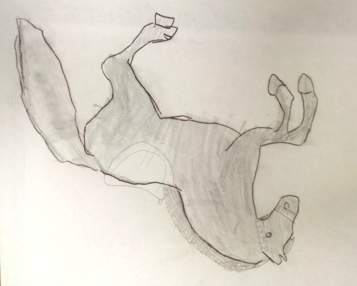 horse