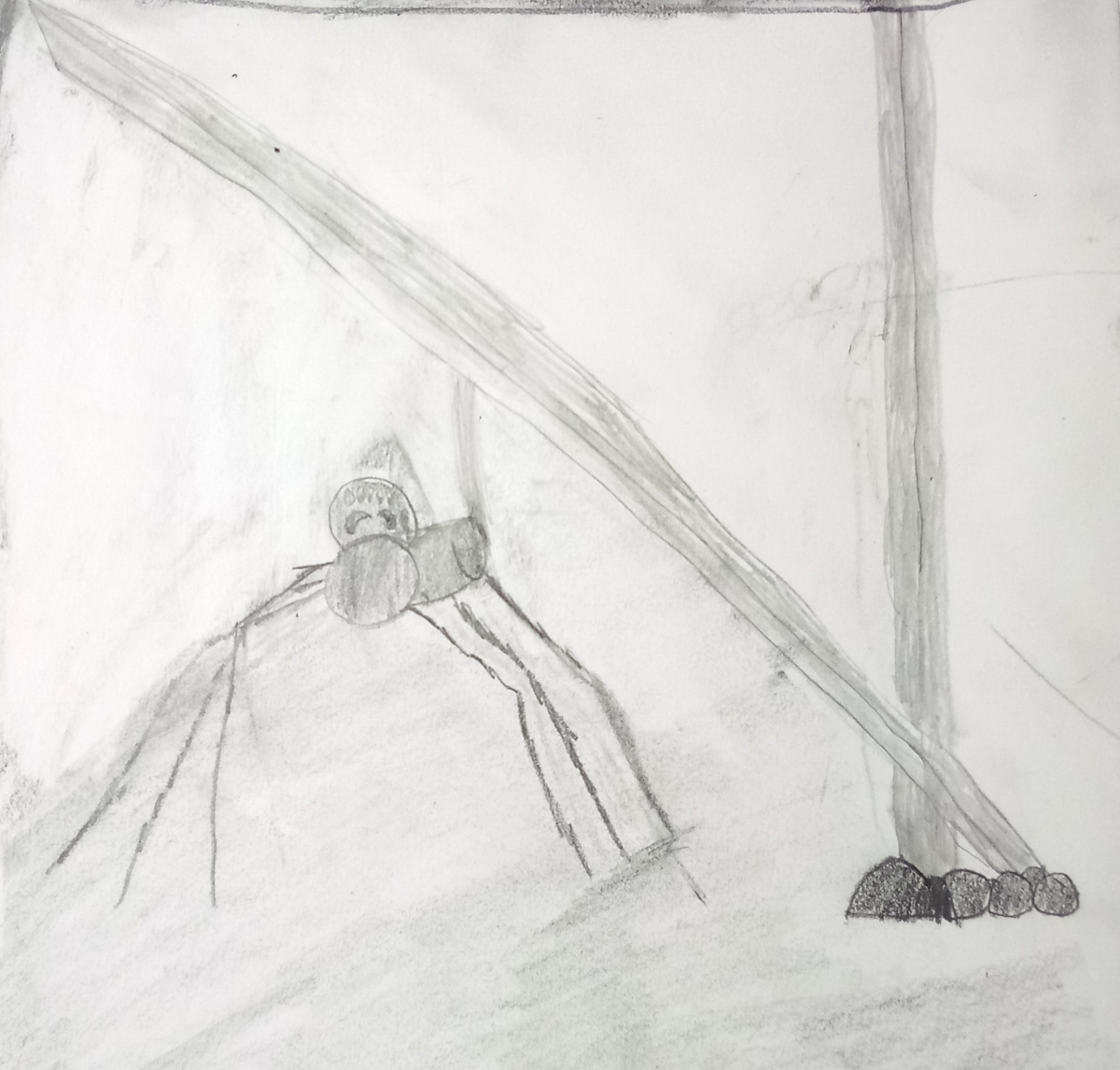 spider