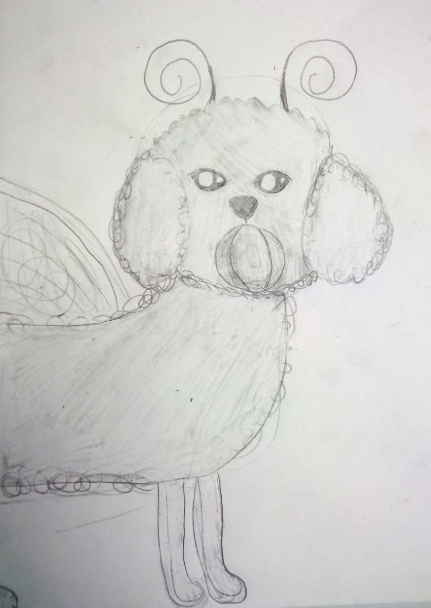 strange poodle