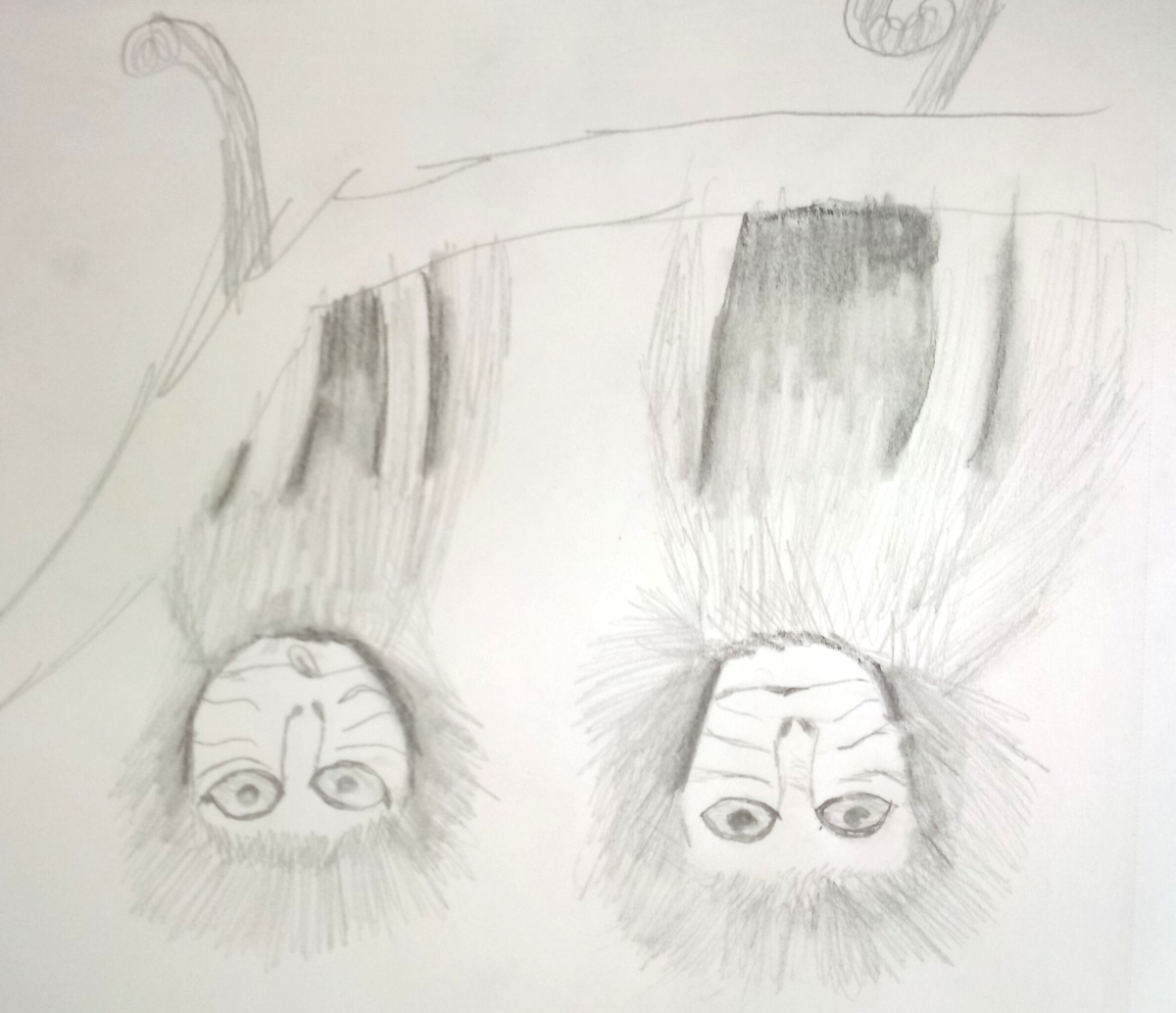 monkeys
