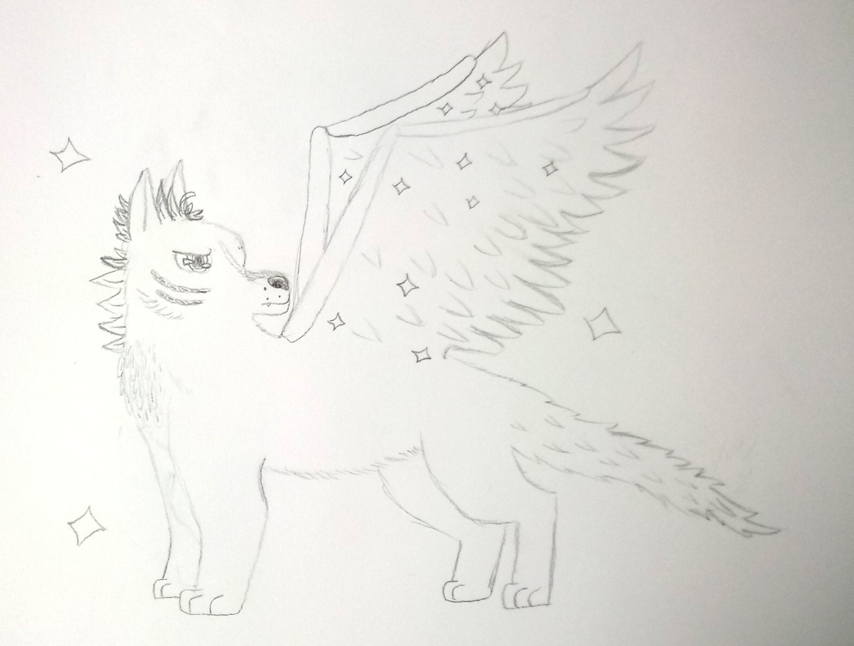 wolf