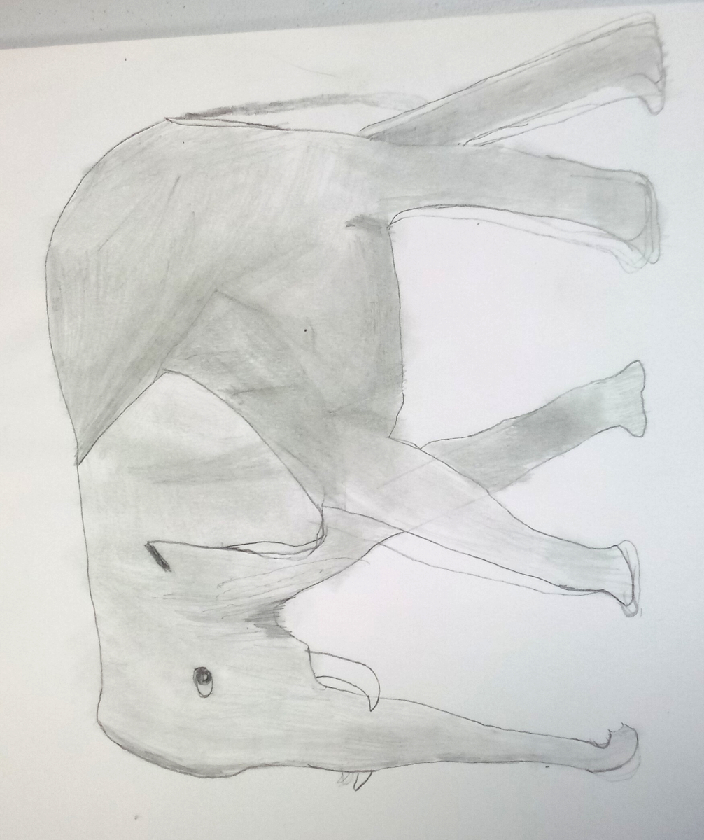 elephant