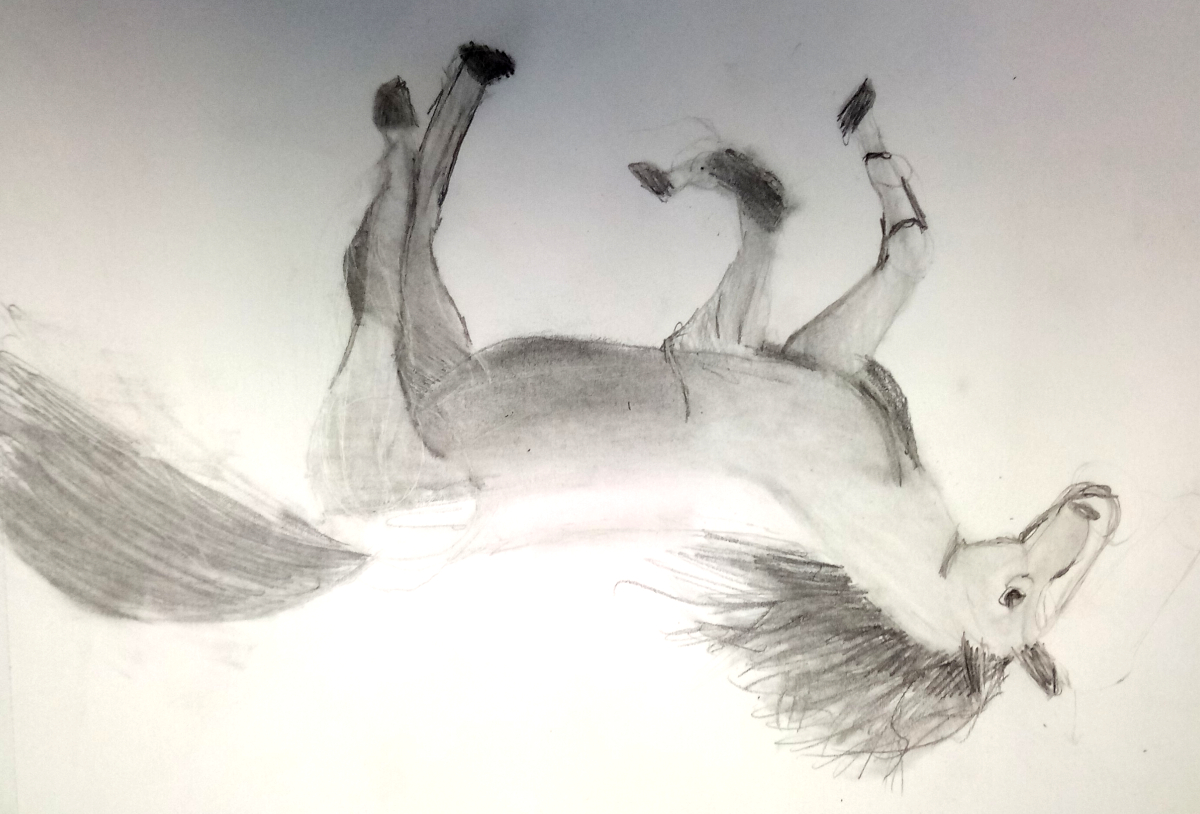 horse